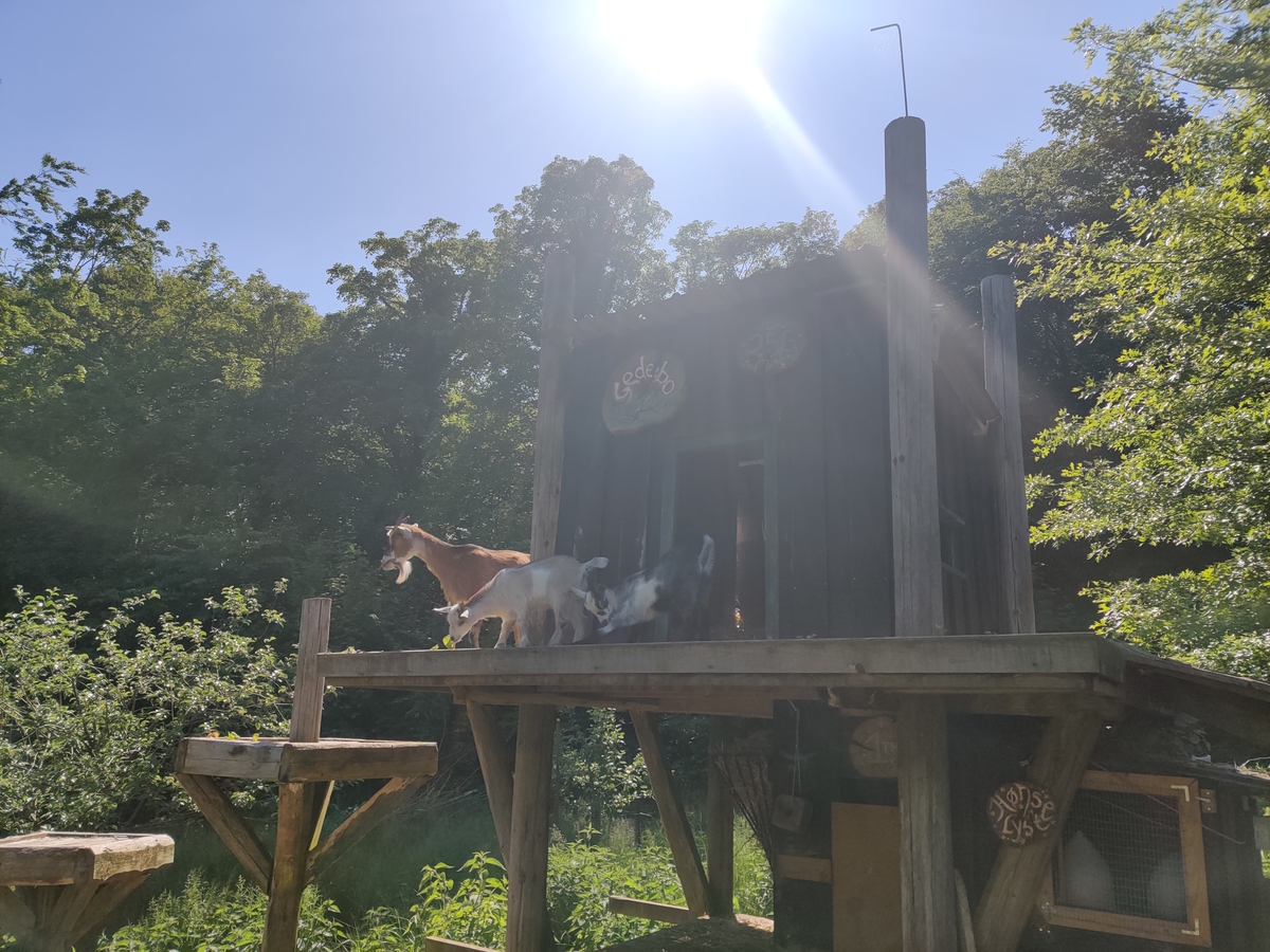 Holiday home 36