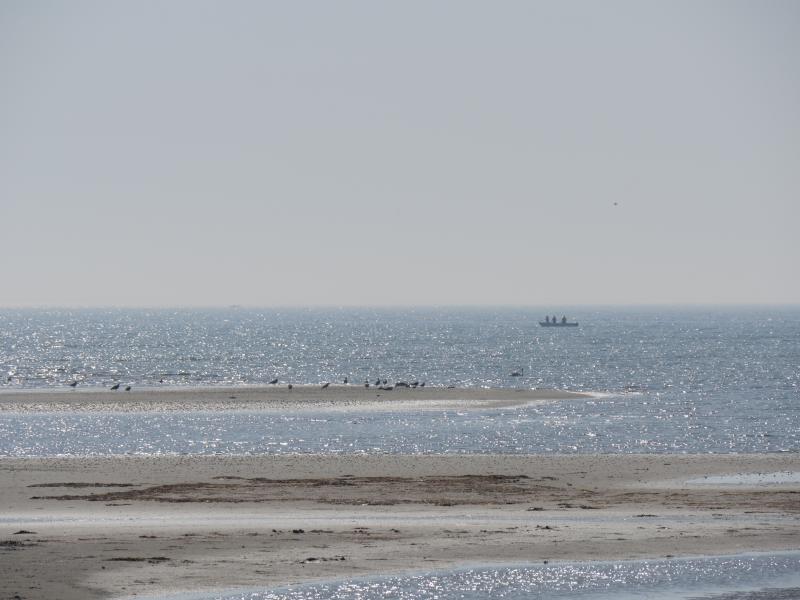 Dejlig sandstrand og fine fiskemuligheder