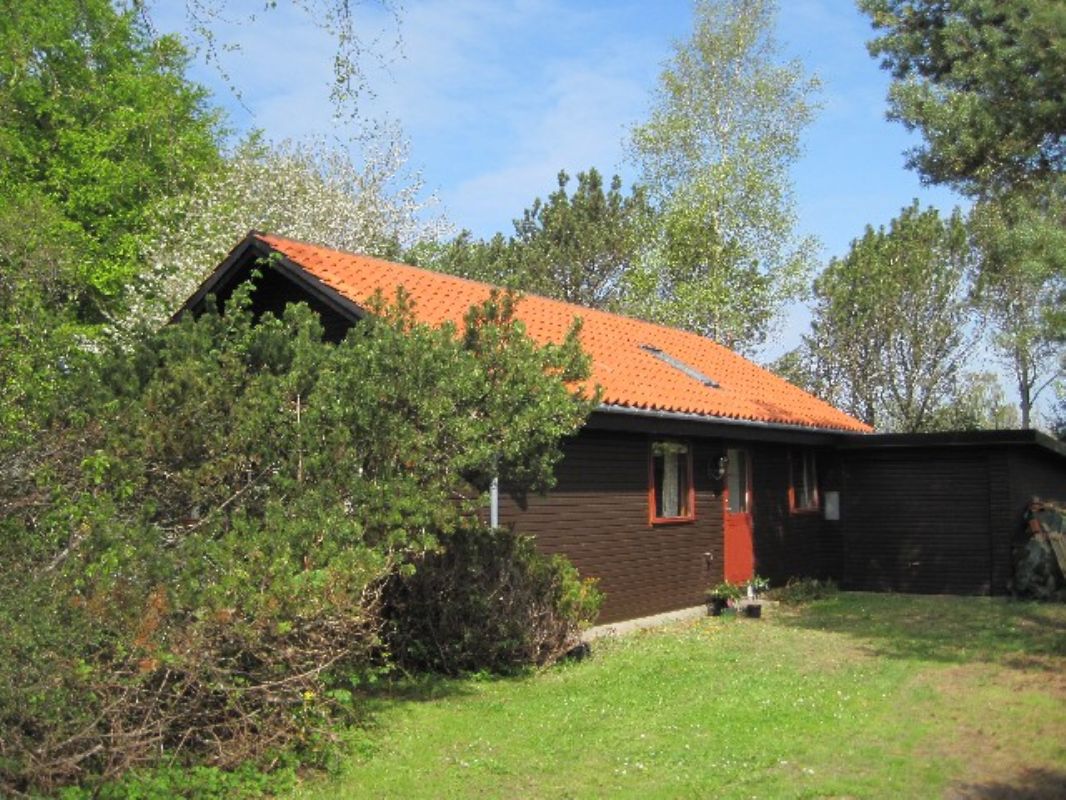 Ankomst til ferie, skov og badestrand