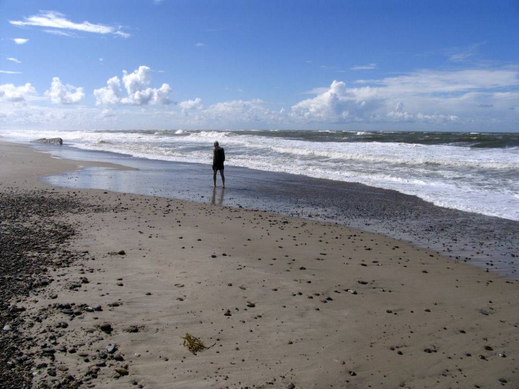 Stranden Veders KlitStrand Veders Klit