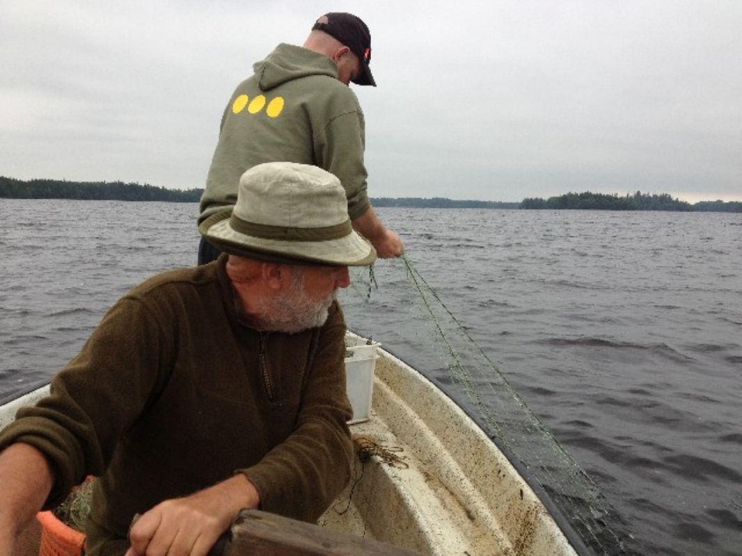 Thorkild og Emil fanger fisk med net i Jllunden