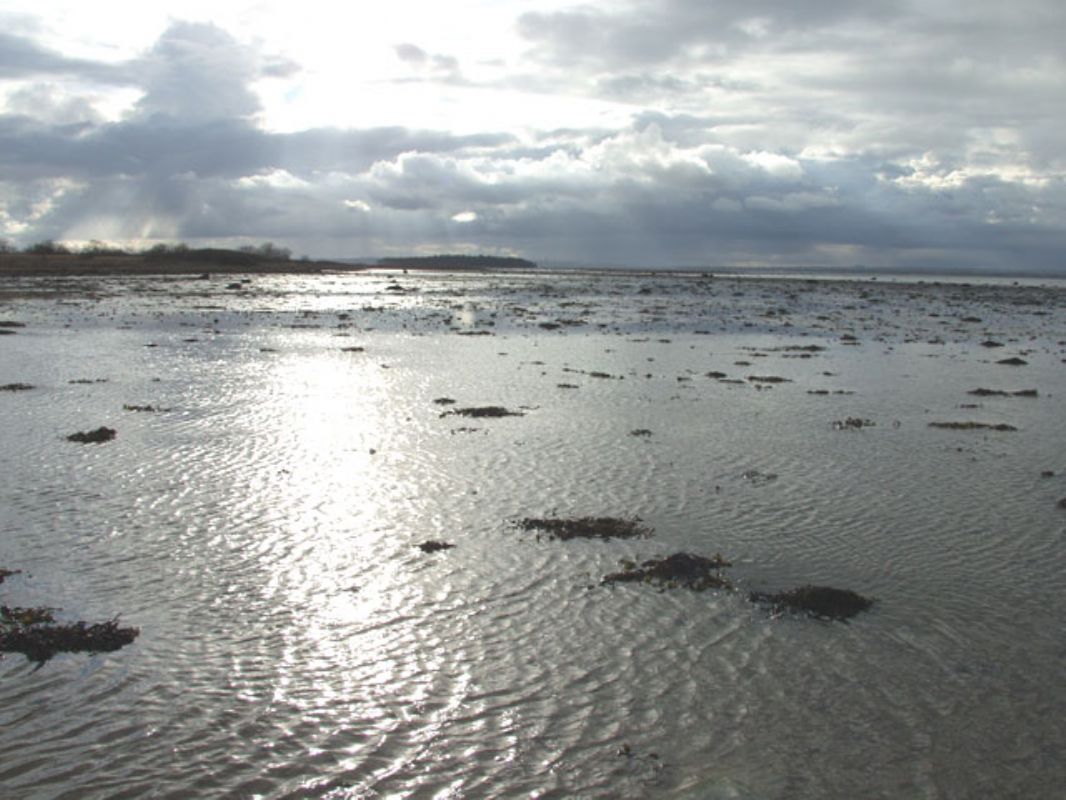 Den nre strandThe beach close by