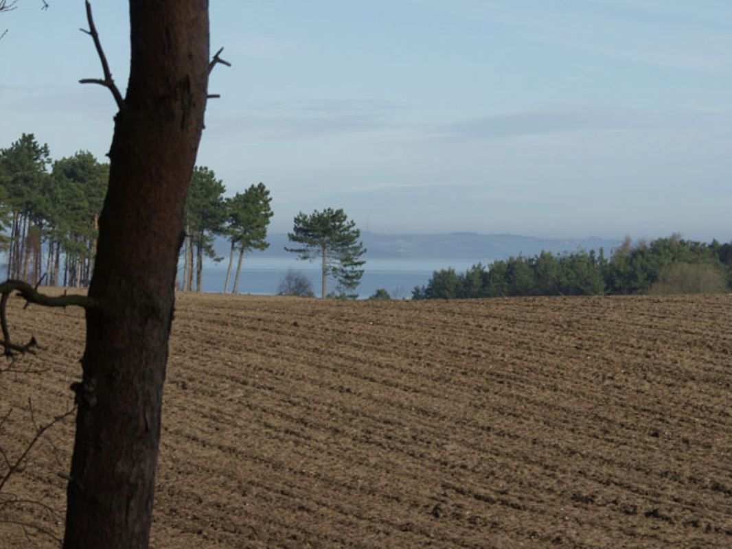 Udsigt fra grunden over markerneView over the fieldsber den Felden