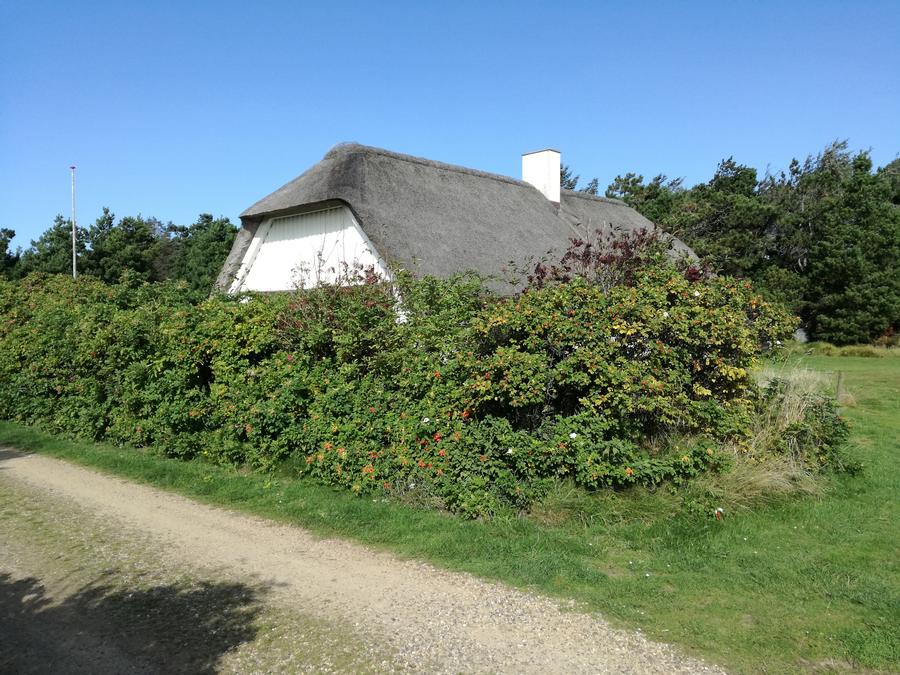 Veders� - North Sea (500 m), 112 m2 large newly thatched brick house for 6 people. Quiet location on 2200 m2 plot, with shelter and large lawn in front of the house. Possibility of many activities on the grounds.
