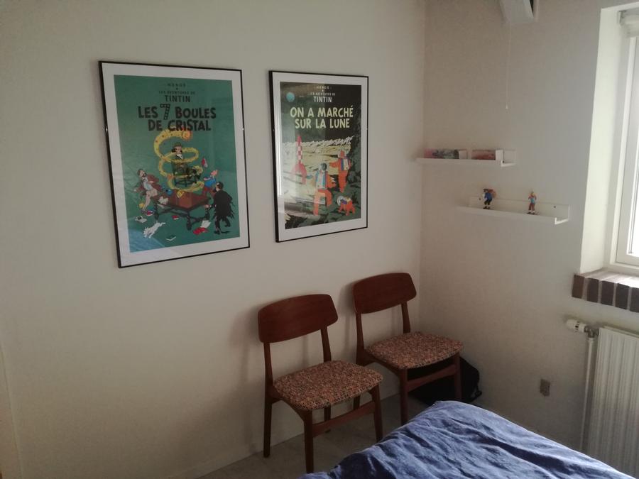 Plakater og figurer med TinTin