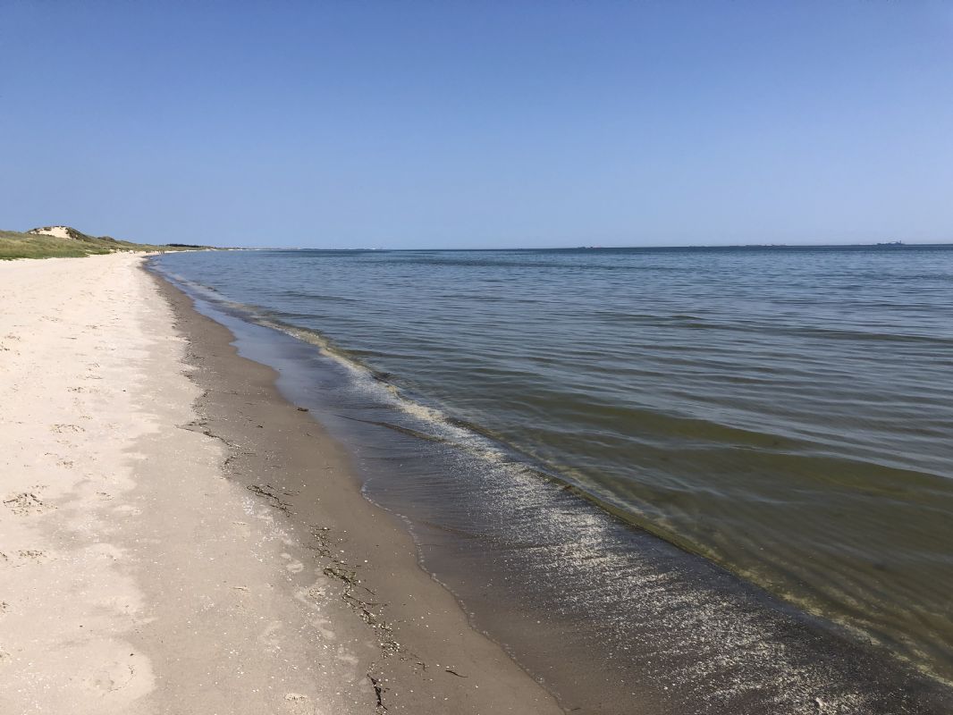 Stranden mod Skagen